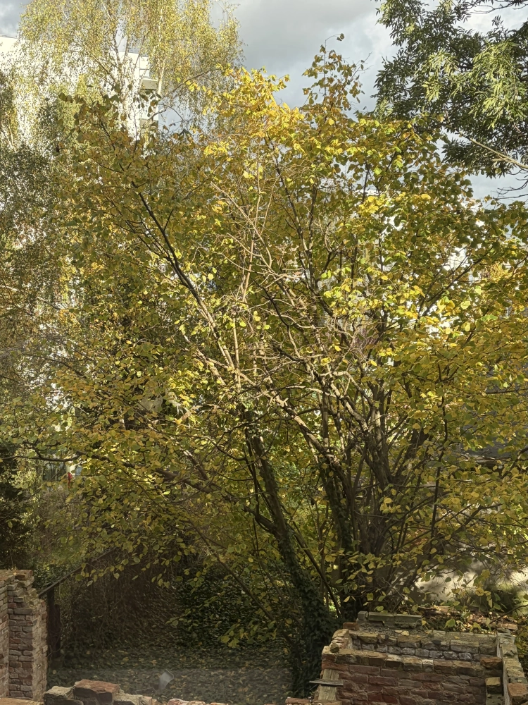 ФОТООТЧЁТ или просто подборка красивых кадров?