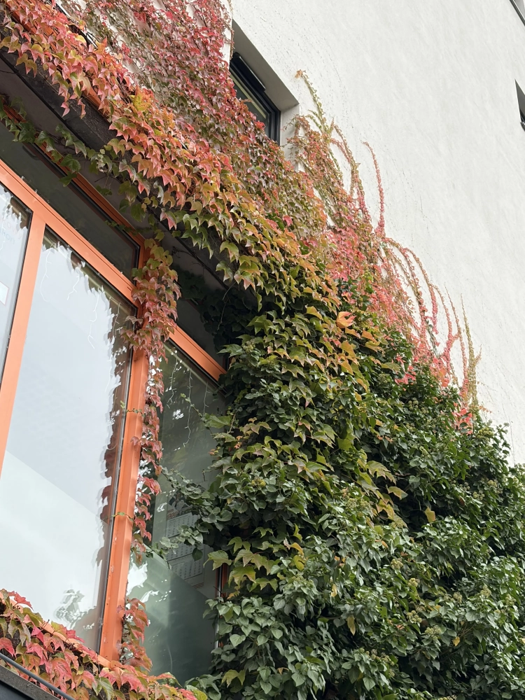 ФОТООТЧЁТ или просто подборка красивых кадров?