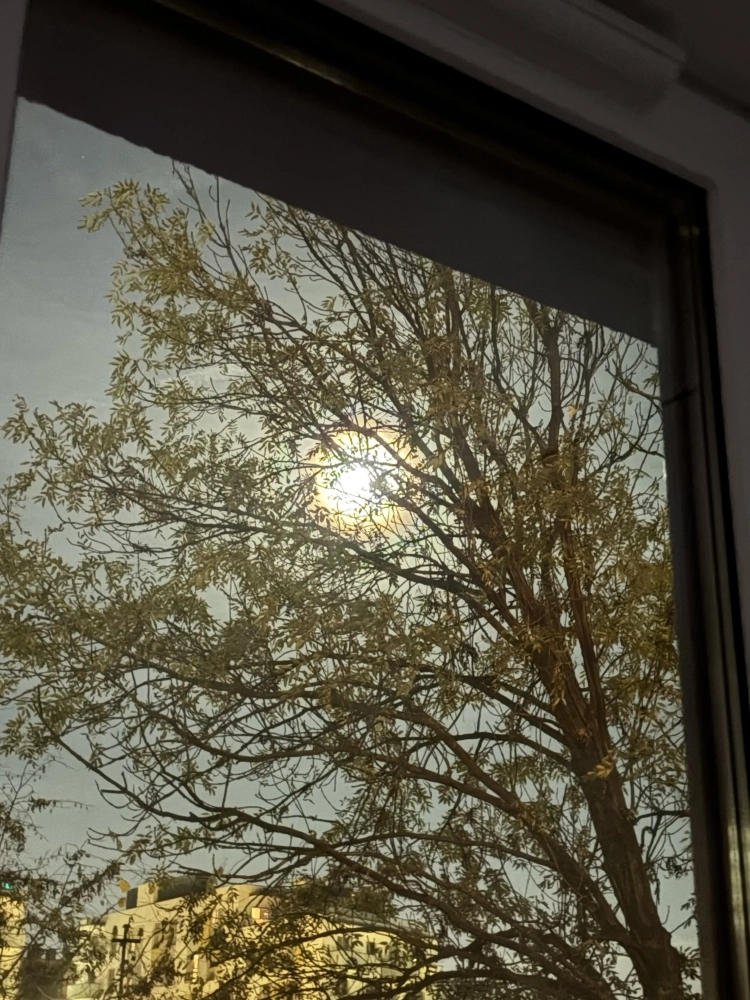 ФОТООТЧЁТ или просто подборка красивых кадров?