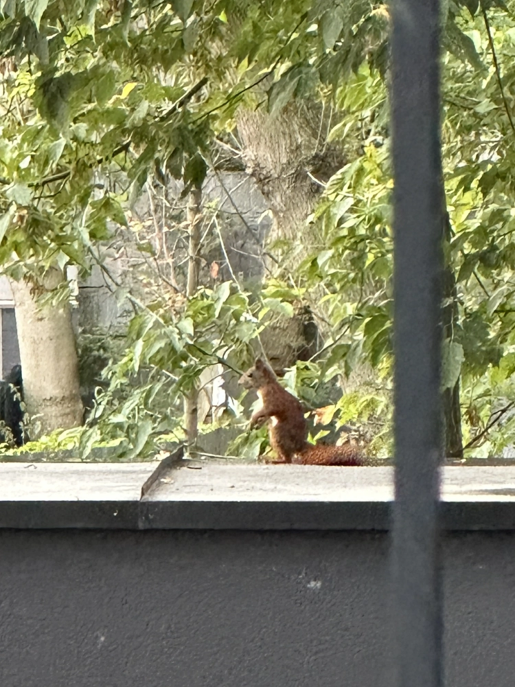 ФОТООТЧЁТ или просто подборка красивых кадров?